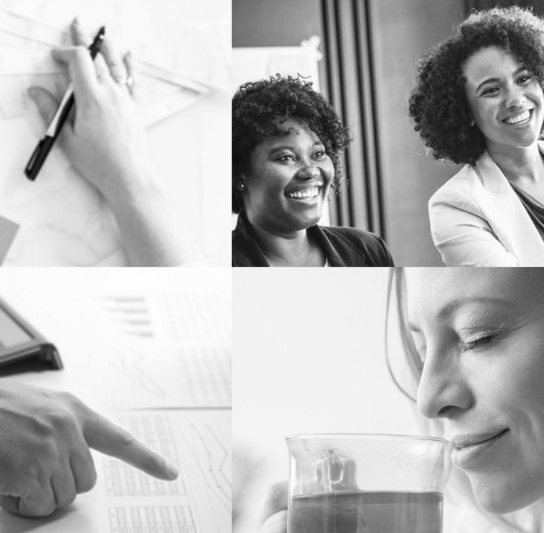 Ottawa's Energy Efficiency Experts