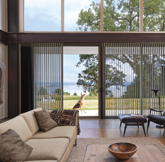 Large Panels, Bold Statement