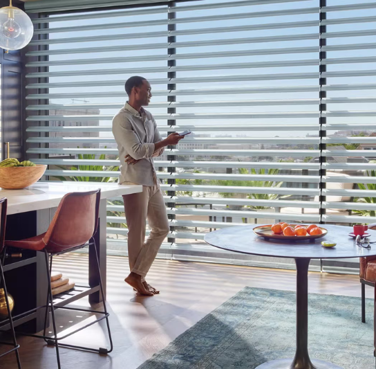 Pirouette® Window Shadings