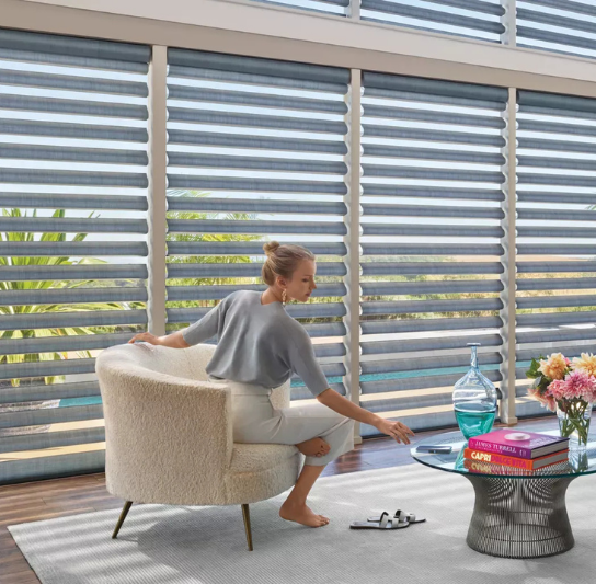 Hunter Douglas Silhouette® Window Shadings