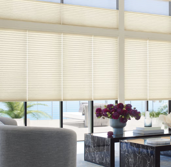 Best Rooms for Hunter Douglas Cellular Shades
