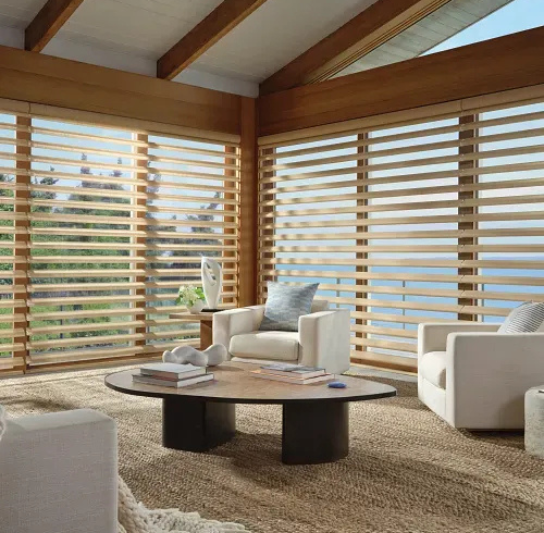 Hunter Douglas Pirouette® Shadings